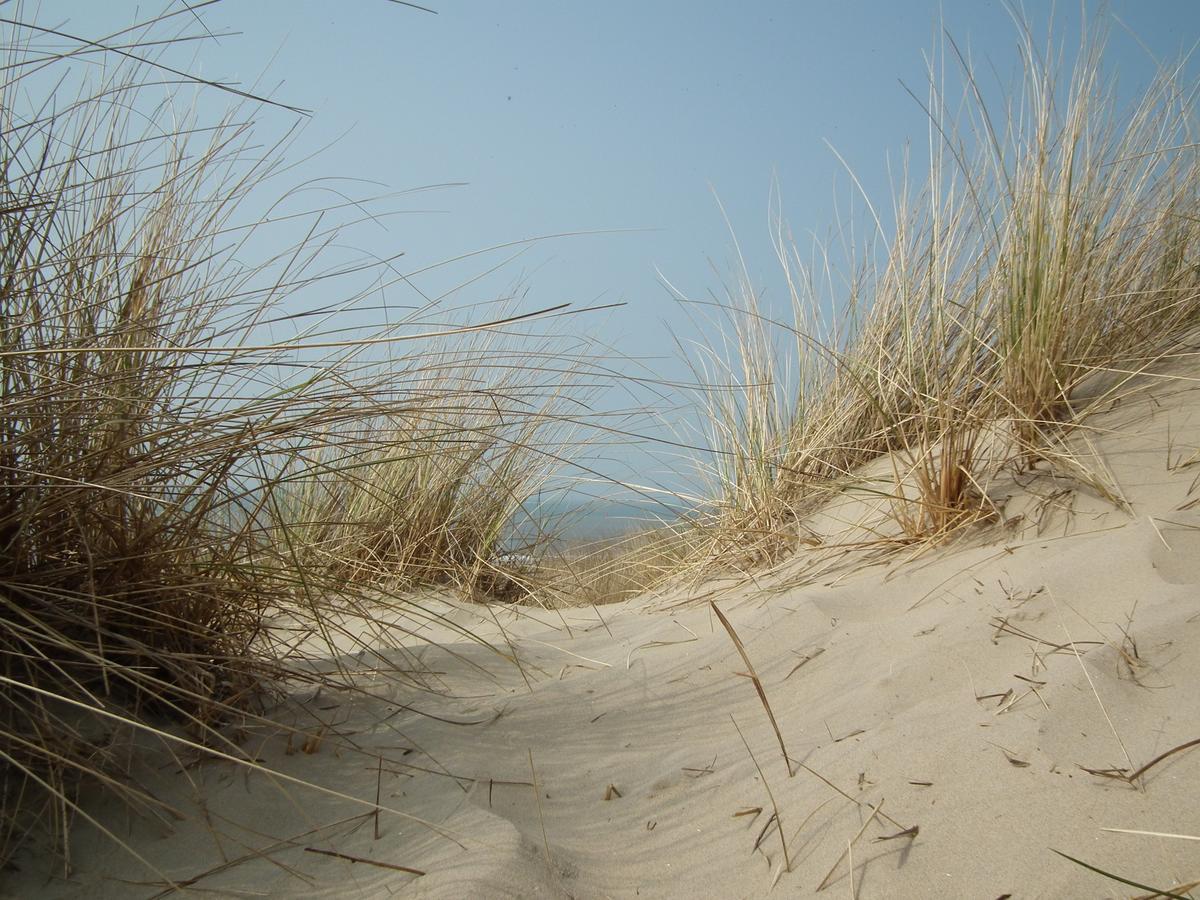 Hollumerstrand Esterno foto